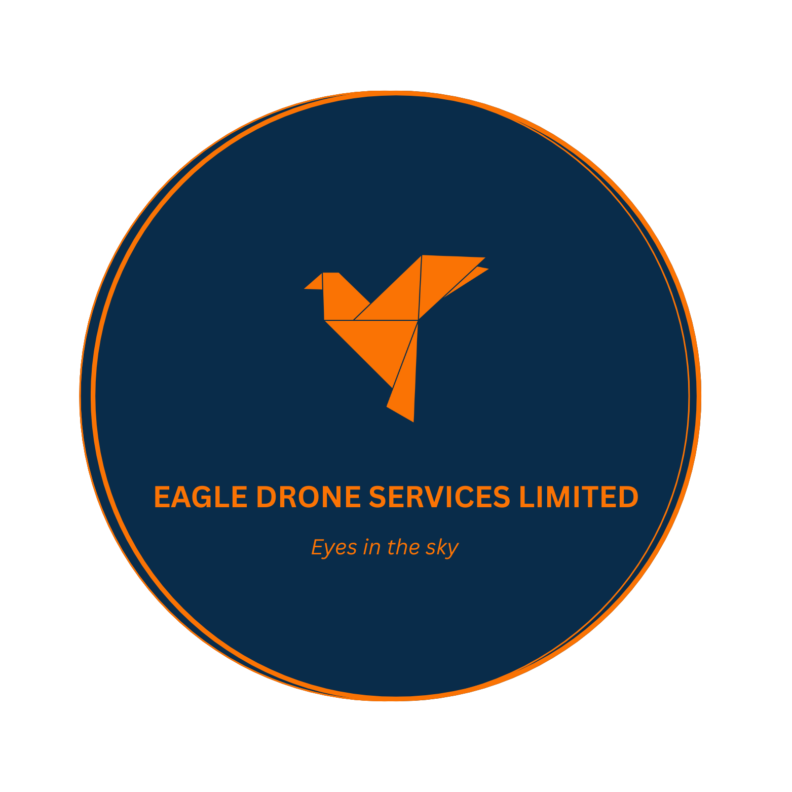 Eagle Drone