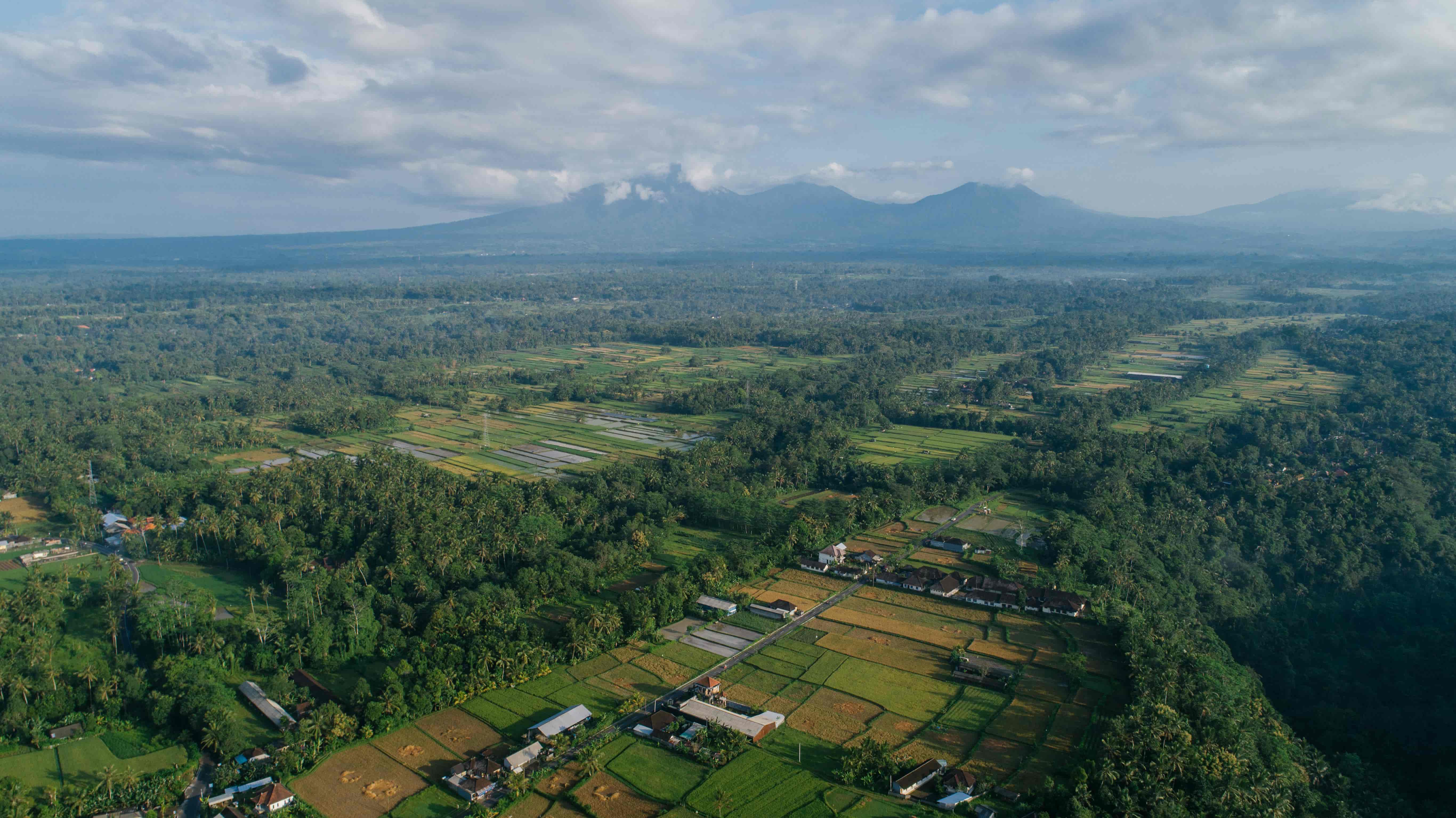 Aerial Photography and Videography